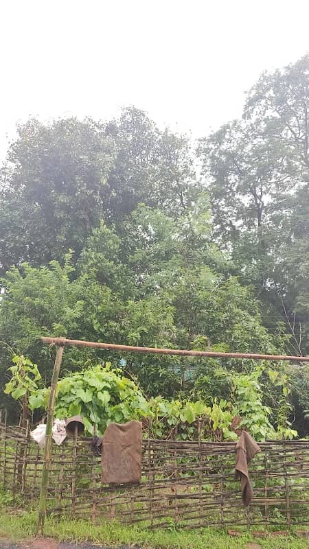 Joshi Laun And Garden - Image 1