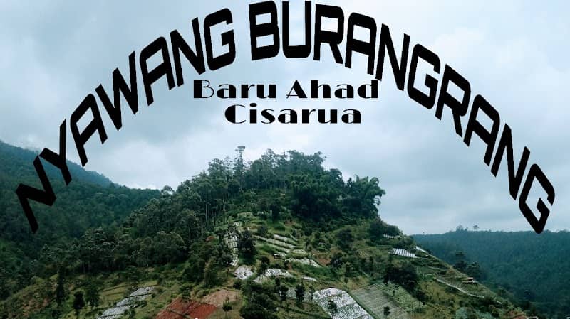Grand Champ Nyawang Burangrang Baru Ahad - Image 1
