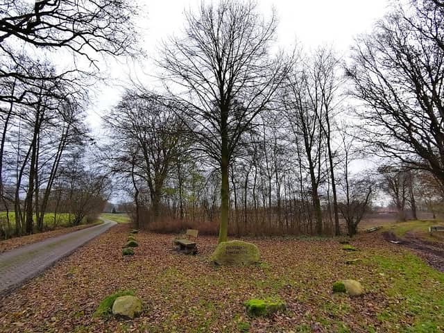 Eurolinde Achternholt - Image 1