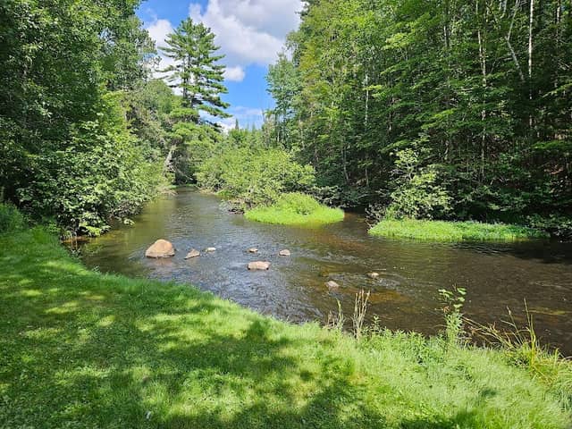 Wayside Park - Image 1