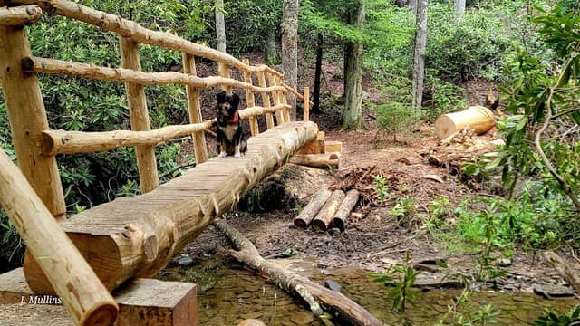 Alegheny Trail, Glady Trailhead - Image 1