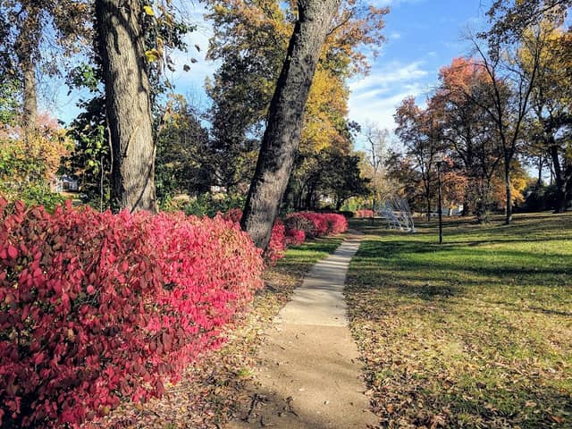 Jeske Park - Image 2