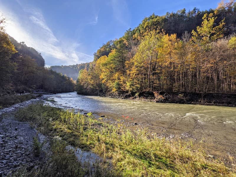 Taughannock Falls Gorge Trailhead - Image 3