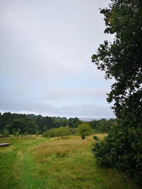 Kettil'stoun Woodland & Avon Lagoon - Image 1
