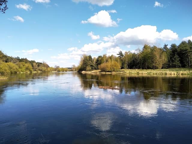 Wirynka River Mouth - Image 1