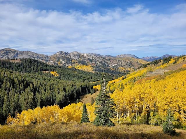 Guardsmans Pass Overlook - Image 2