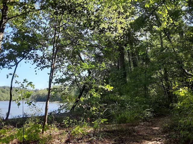 Washburn Trail Head - Image 1