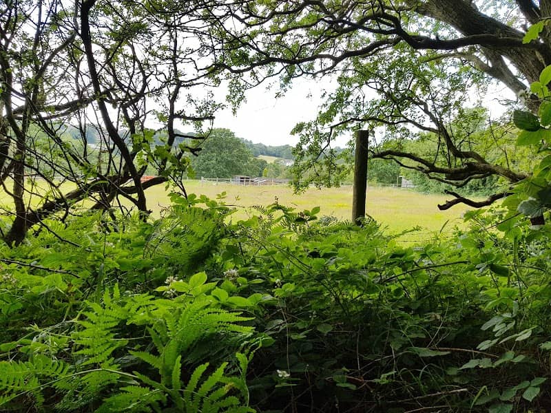Nunswell Park - Image 2
