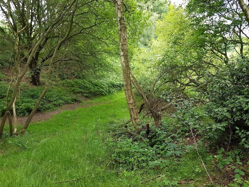 Nunswell Park - Image 1