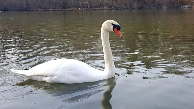 Hagerstown City Park - Image 2