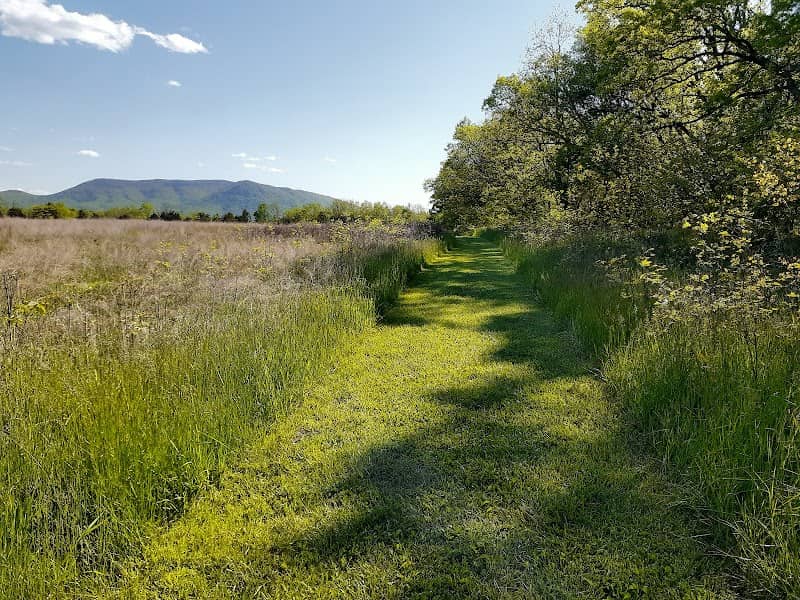 The 8th Vermont Monument Trail - Image 1
