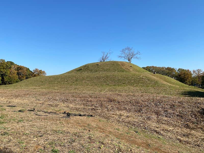 Ryukakuji Tomb Group Tomb No. 105 - Image 1