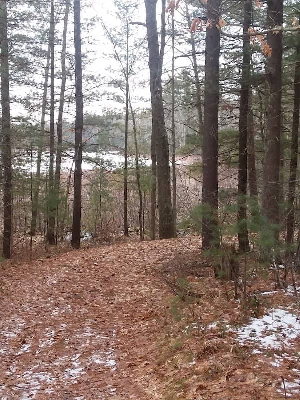 Lake St NCT - Image 2