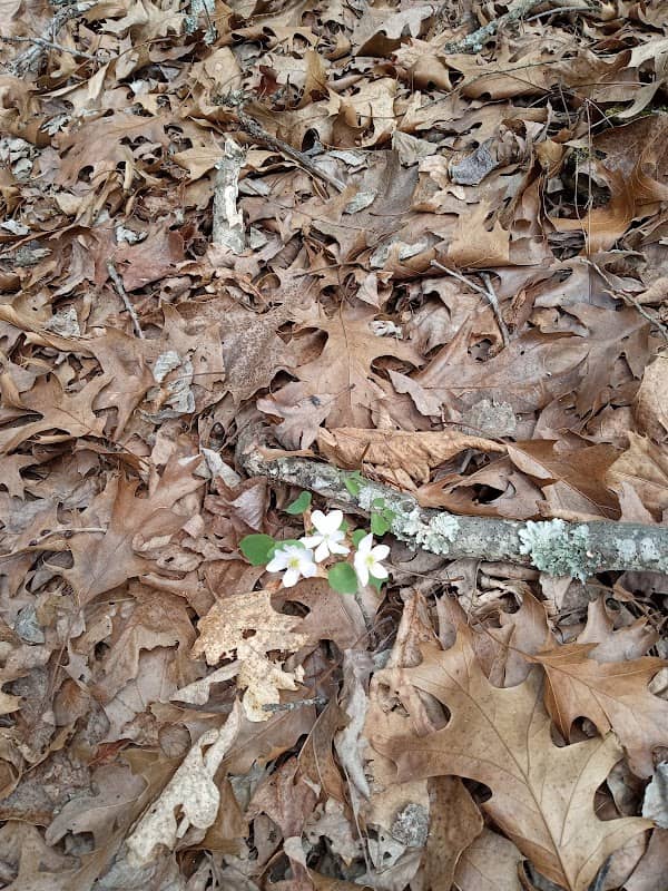 Pomona Trailhead - Image 1