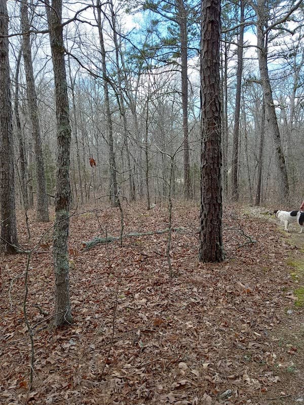 Pomona Trailhead - Image 2