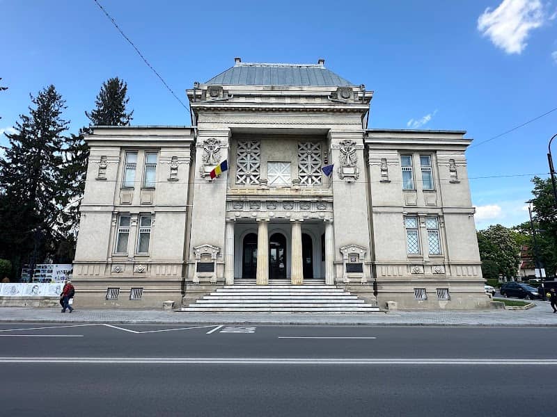 Dâmbovița County's History Museum - Image 1