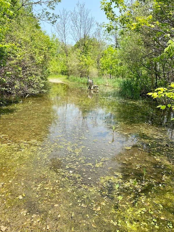 Johnstown Mastodon Preserve - Image 2
