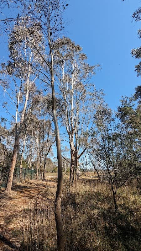 Bellbird Corner Riverside Reserve - Image 1
