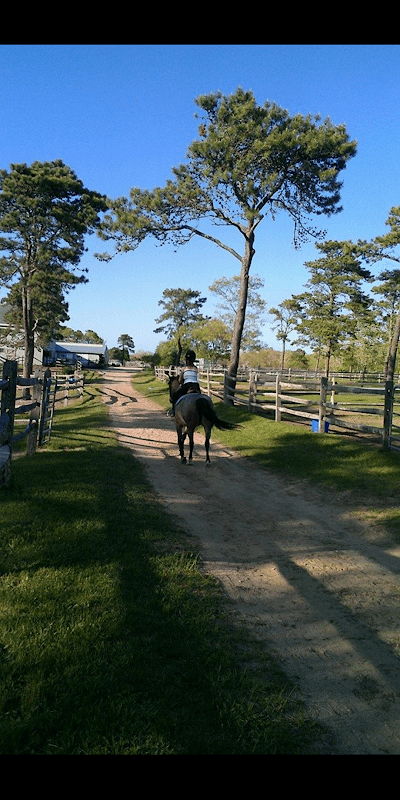 Whitestone Equestrian MV - Image 1