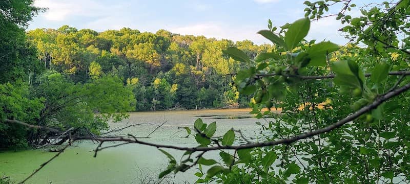 Berry Patch Park - Image 2