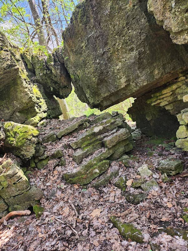 Talus Trail - Image 2