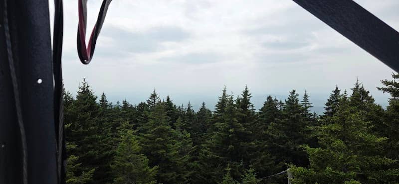 Belknap Fire Tower - Image 1