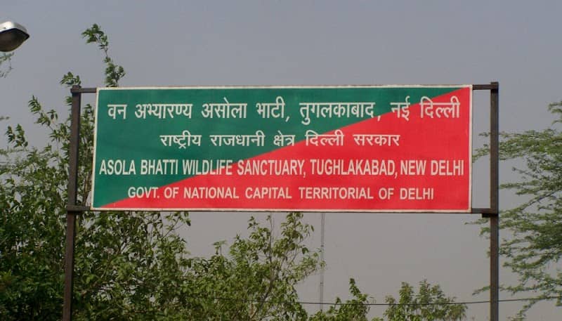 Asola-Bhatti Wildlife Sanctuary, New Delhi - Image 1