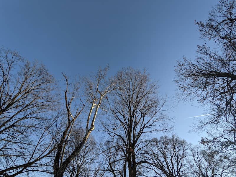 Thompson Park - Image 1
