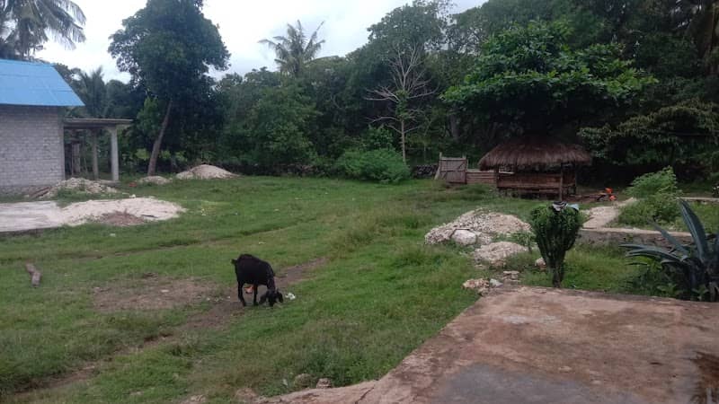 kampung manukamone - Image 1
