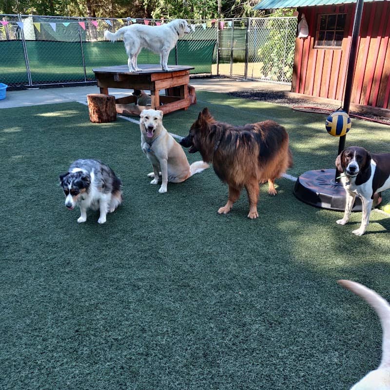 Pyr Hope Farm Dog Lodging, Daycare, Grooming and Park - Image 1