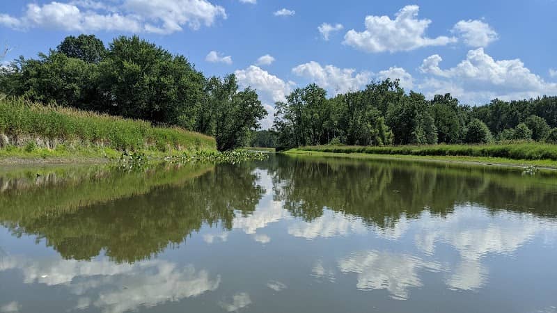 Bassetts Bridge Fishing and Canoe Access - Image 2