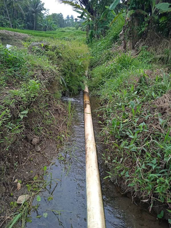 Mata Air Ciseureuh - Image 2