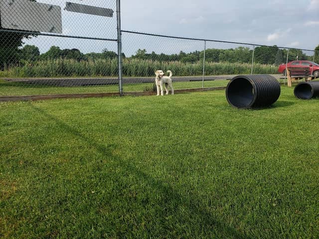 Lee Lydic Park - Image 1