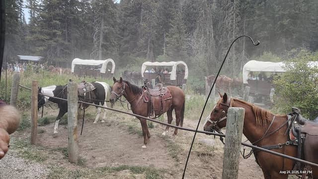 Bar T5 Covered Wagon Cookout and Show - Image 2