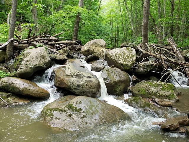 Bluestone National Scenic River - Image 2