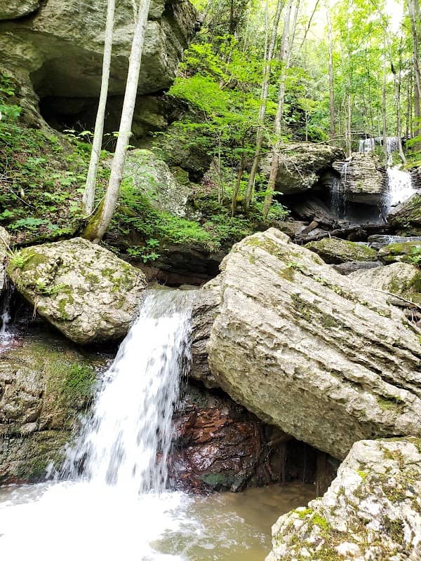 Bluestone National Scenic River - Image 2