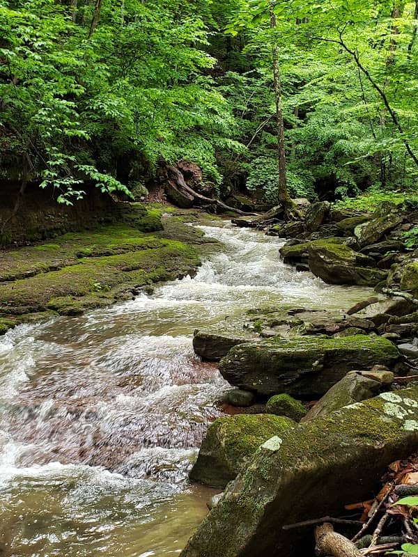 Bluestone National Scenic River - Image 1