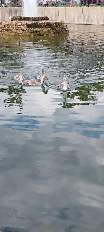 Goose Lake Park - Image 2