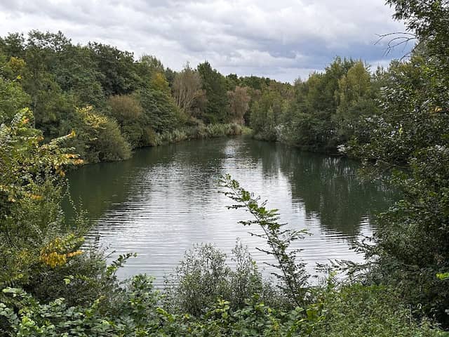 Amphibien Biotop - Image 2