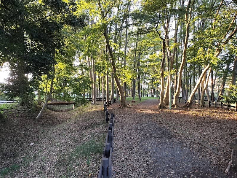 Hanasakijoyama Park - Image 1