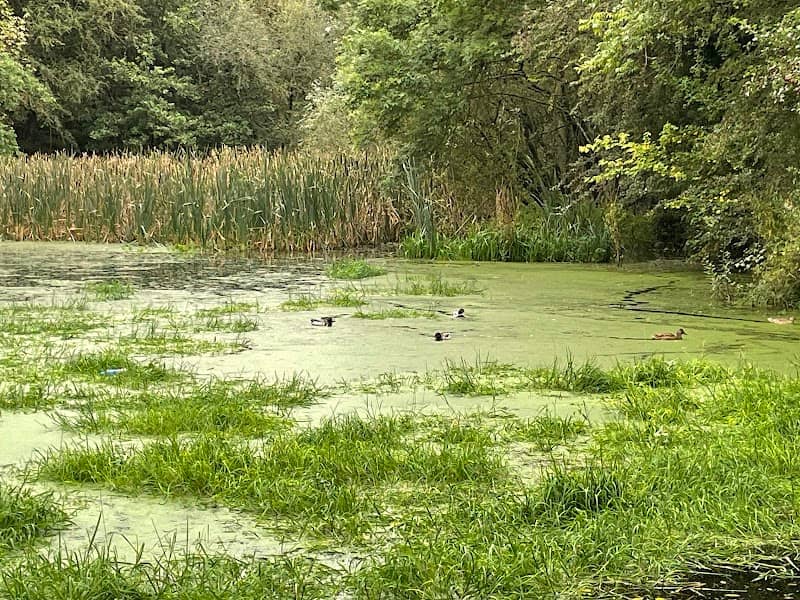 Red River Nature Walk - Image 2