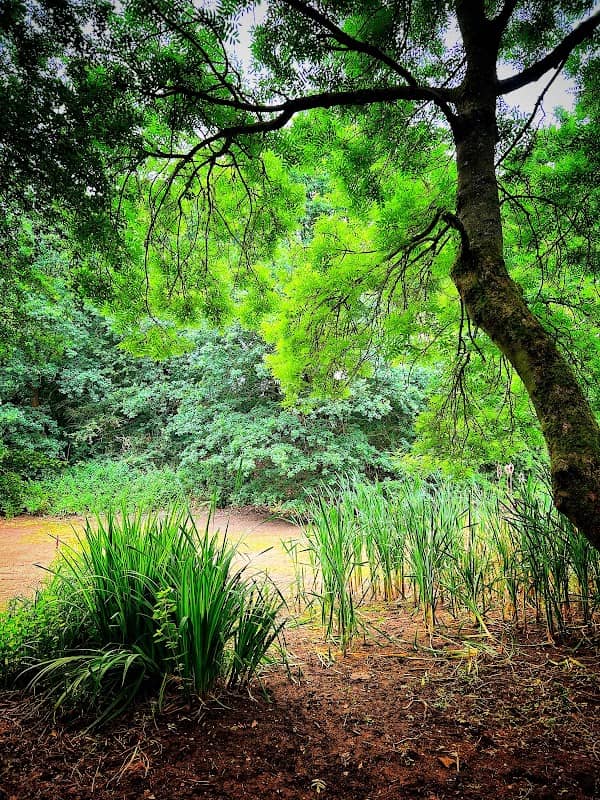 Red River Nature Walk - Image 1