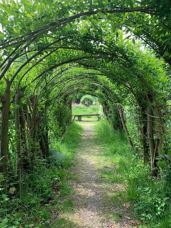 Butterfly Meadow - Image 1