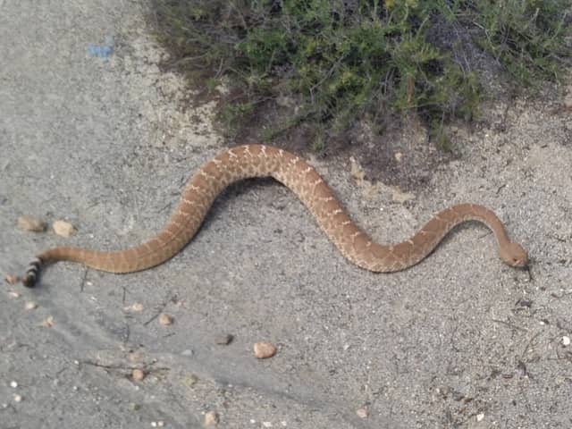 Iodine Springs Reserve Trail - Image 1