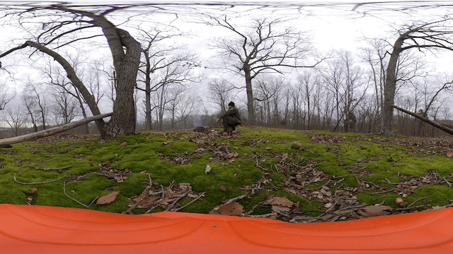 Nathan Bedford Forrest State Park - Image 1