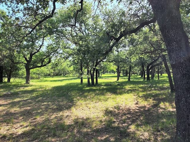Sitting Bull Campsite - Image 1