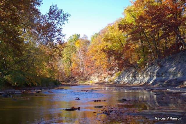 Milan Wildlife Area - Image 1