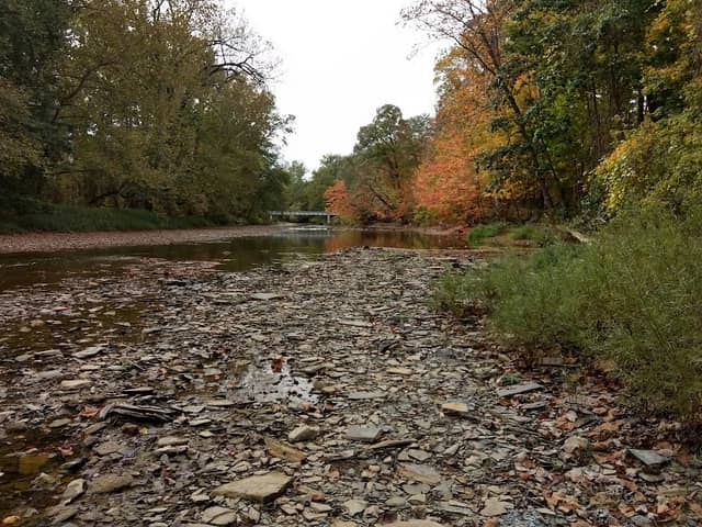 Milan Wildlife Area - Image 2