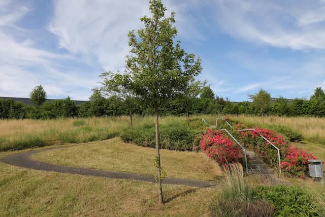 Stadt Park - Image 1