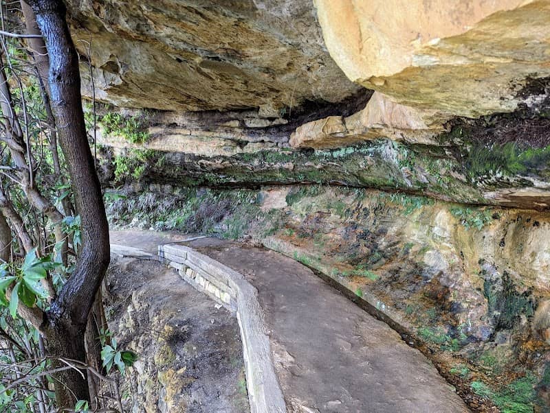 Overcliff-Undercliff track - Image 2